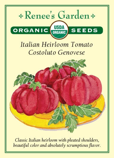 RG Tomato Costoluto Genovese Organic